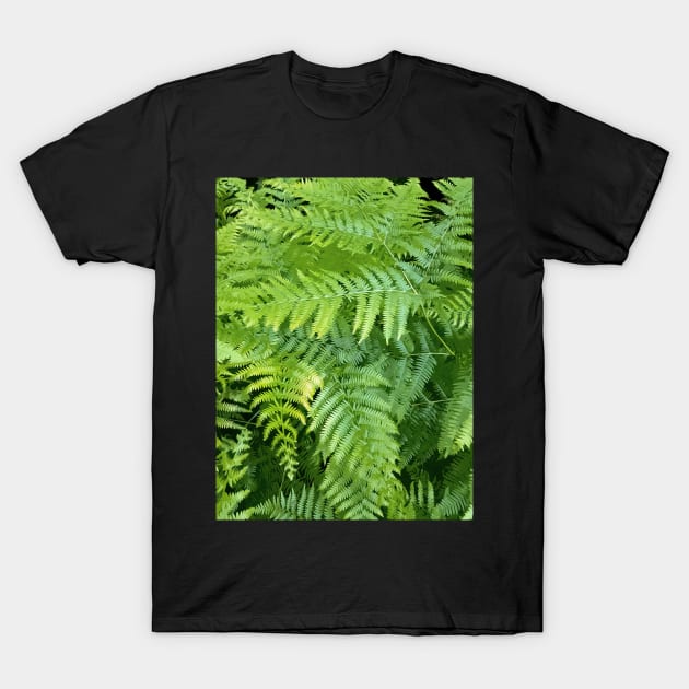 Lush green fern leaves, tropical forest print in vivid colors T-Shirt by KINKDesign